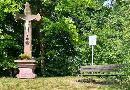 22-06-06 11-24-11 1055